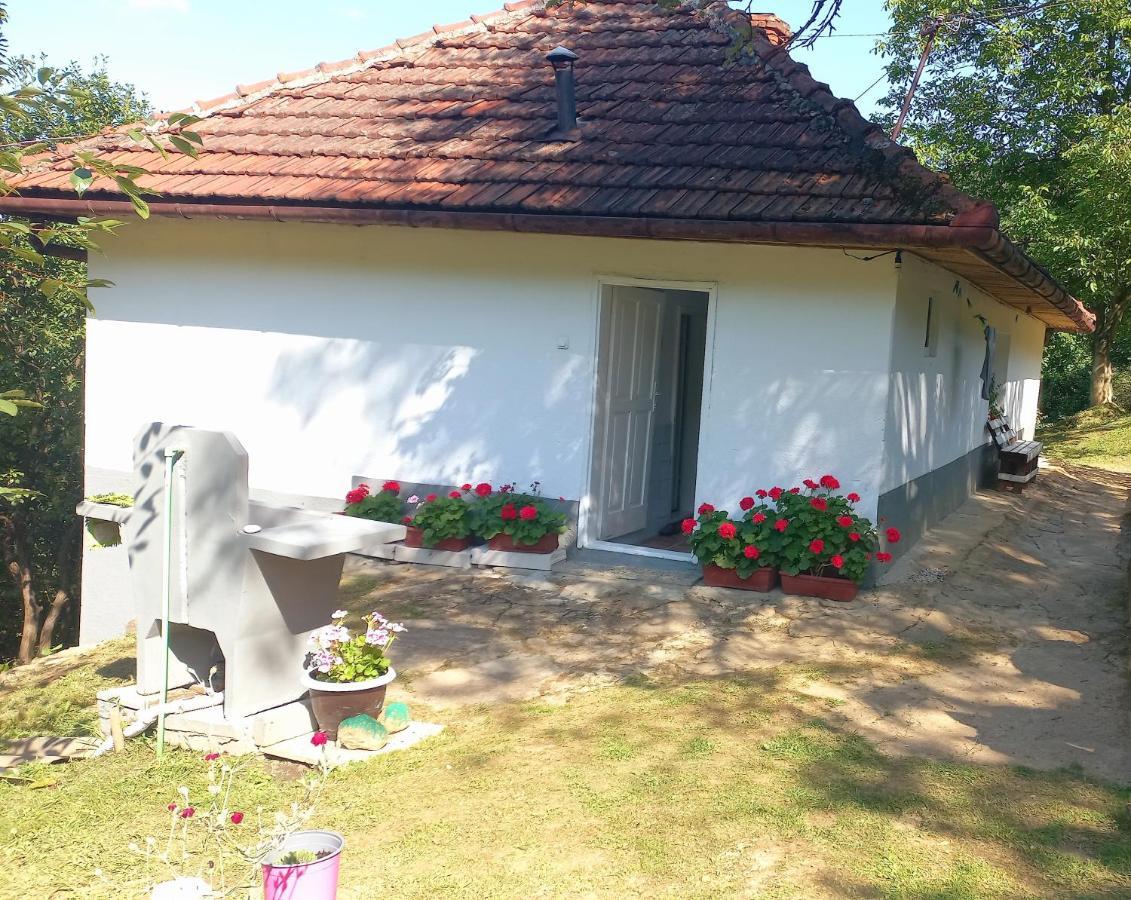 Вілла Family House Вісоко Екстер'єр фото
